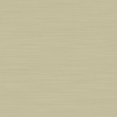 500_55_configurazione_interna Champagne