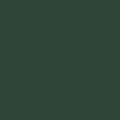 500_55_configurazione_interna Verde Opaco