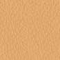 retro Sahara