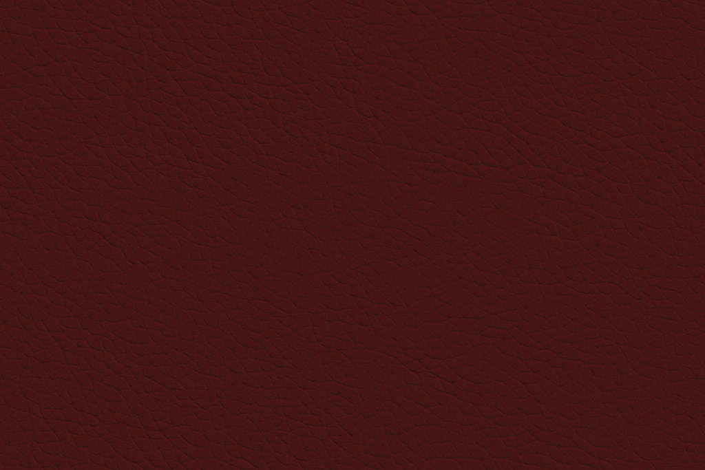  P62
