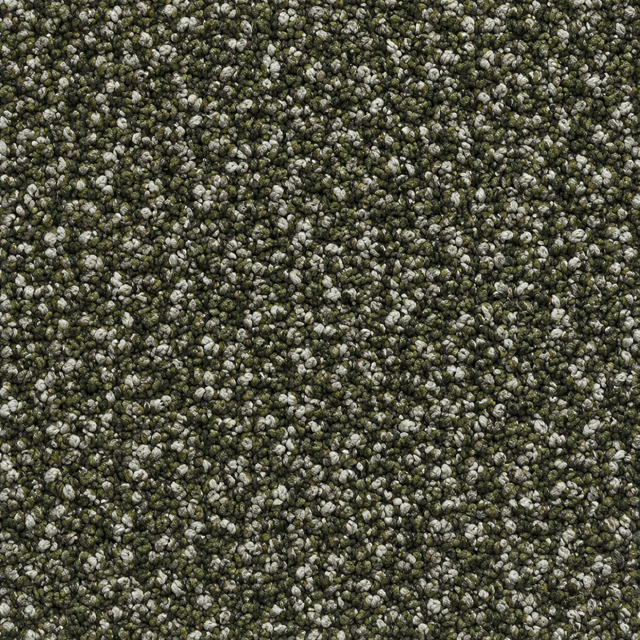  F76